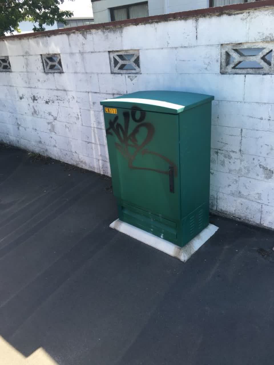 The photograph attached to this graffiti report