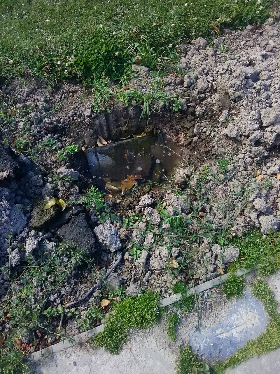The photograph attached to this water supply report