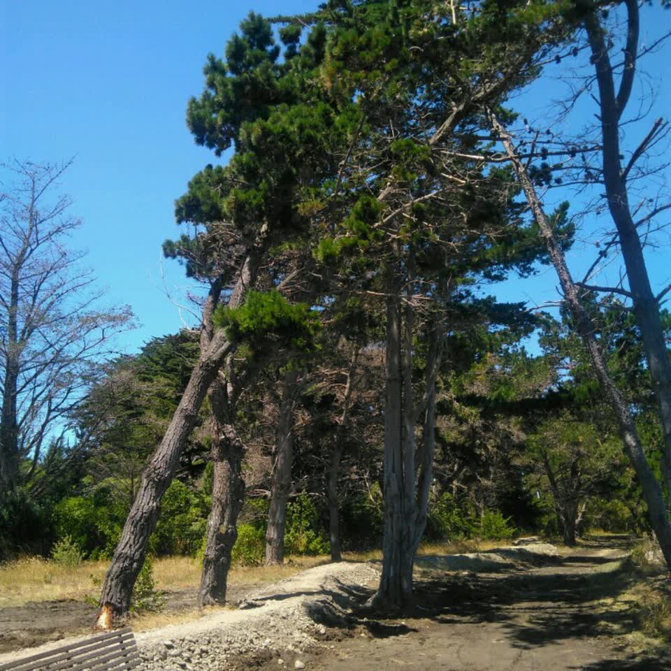 The photograph attached to this parks report