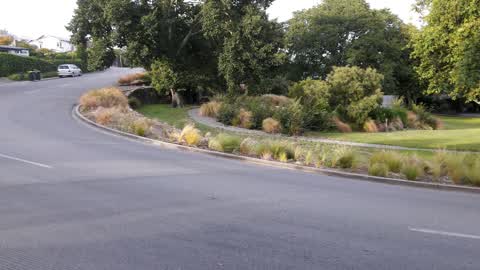 Parks, a report photo