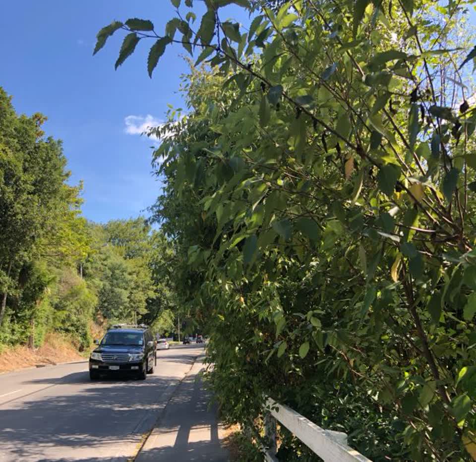 The photograph attached to this roading/streets report
