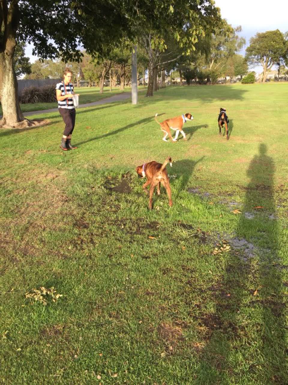 The photograph attached to this parks report