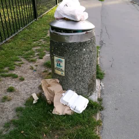 Rubbish/Recycling, a report photo