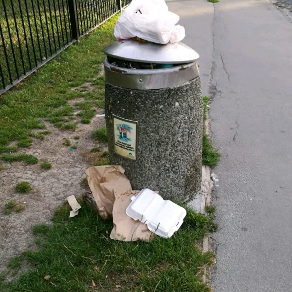 The photograph attached to this rubbish/recycling report