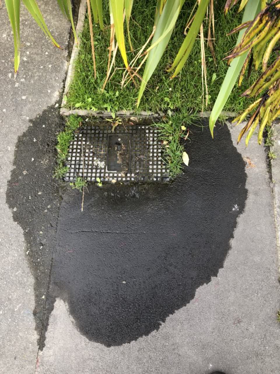 The photograph attached to this water supply report