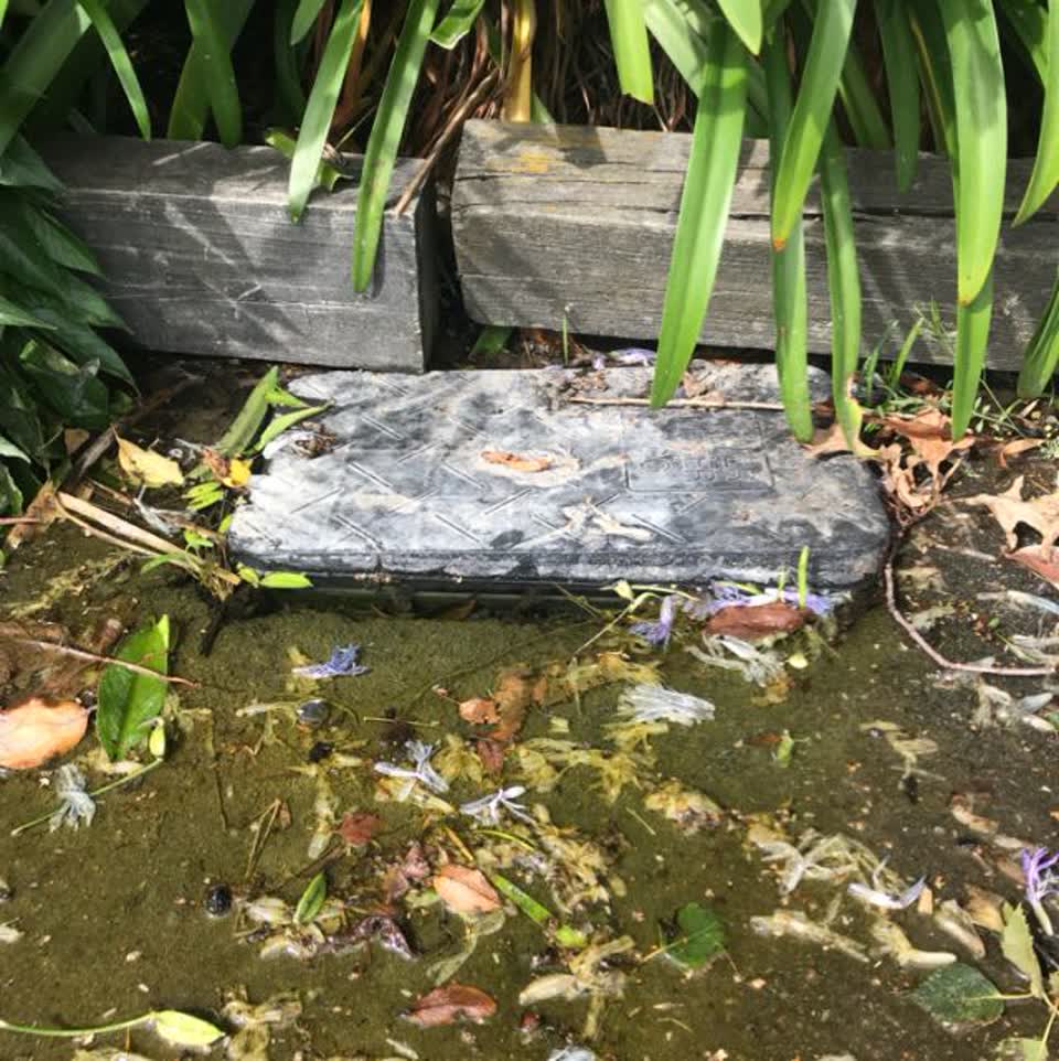 The photograph attached to this water supply report