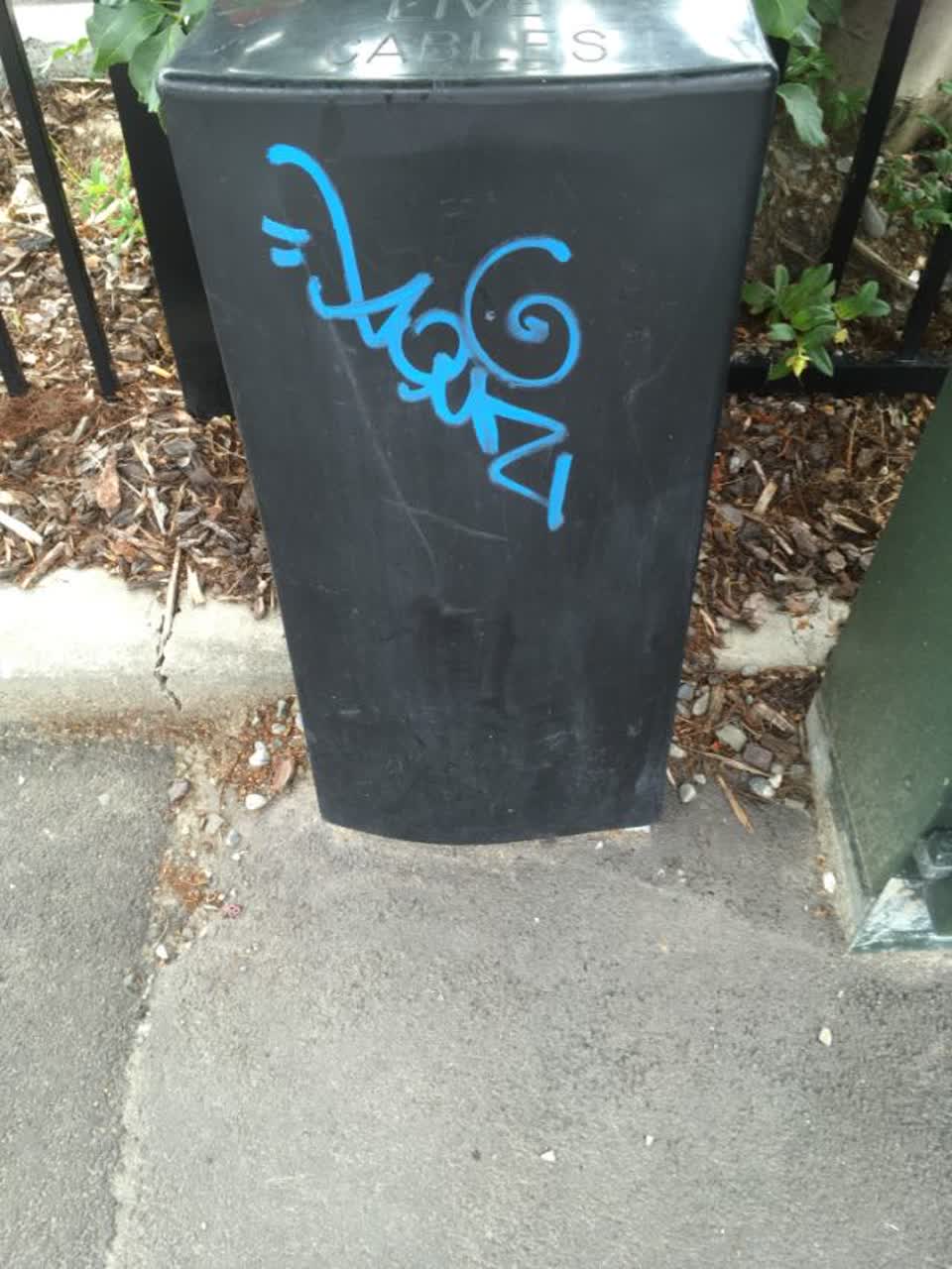 The photograph attached to this graffiti report