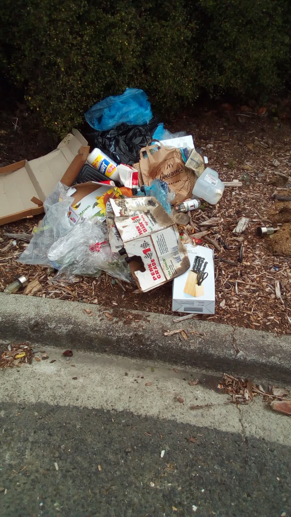 The photograph attached to this rubbish/recycling report
