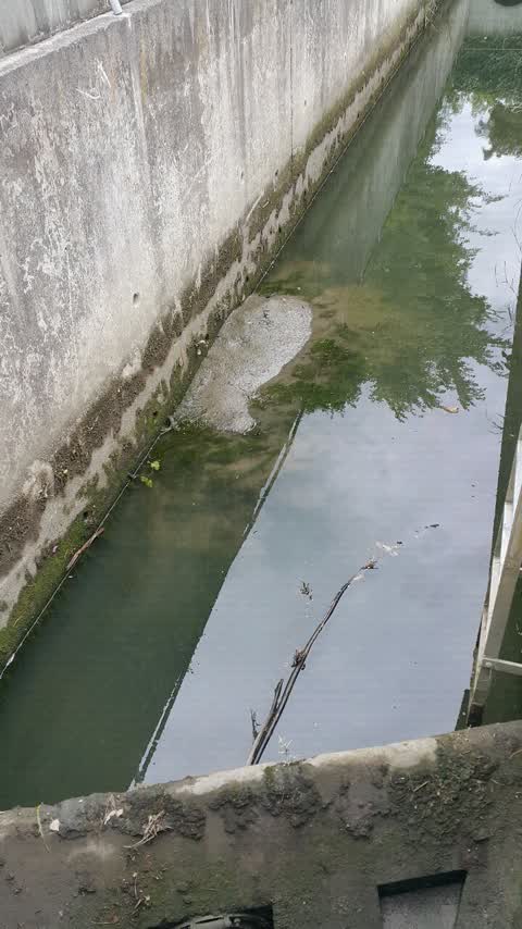 Wastewater/Stormwater, a report photo