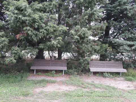 Parks, a report photo