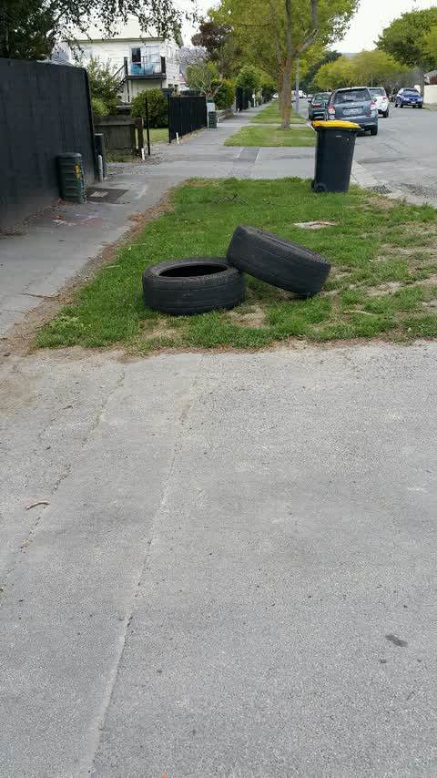 Rubbish/Recycling, a report photo