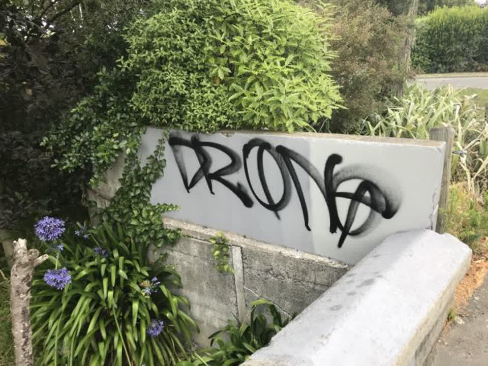 The photograph attached to this graffiti report