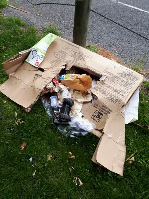 Rubbish/Recycling, a report photo