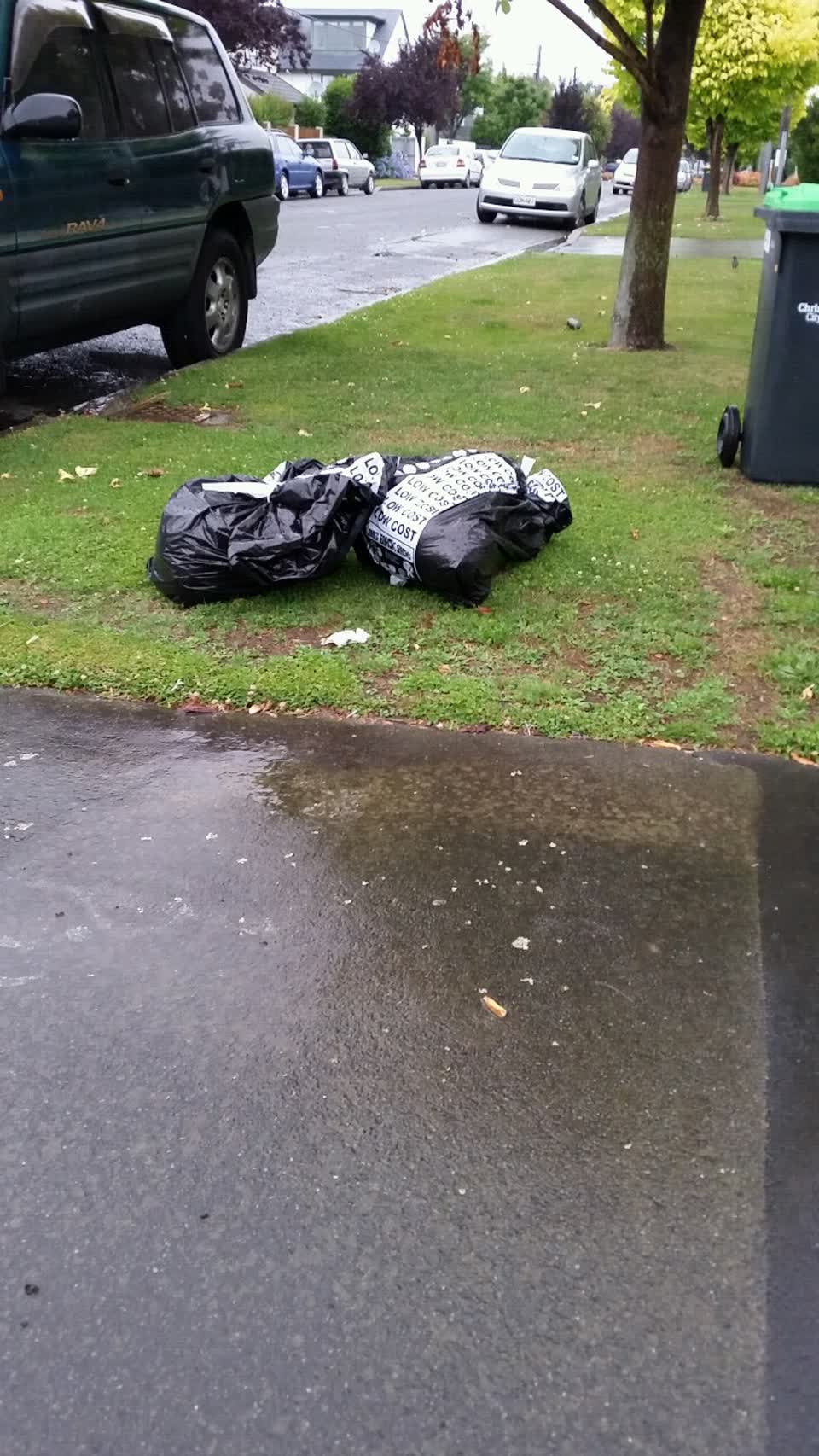 The photograph attached to this rubbish/recycling report