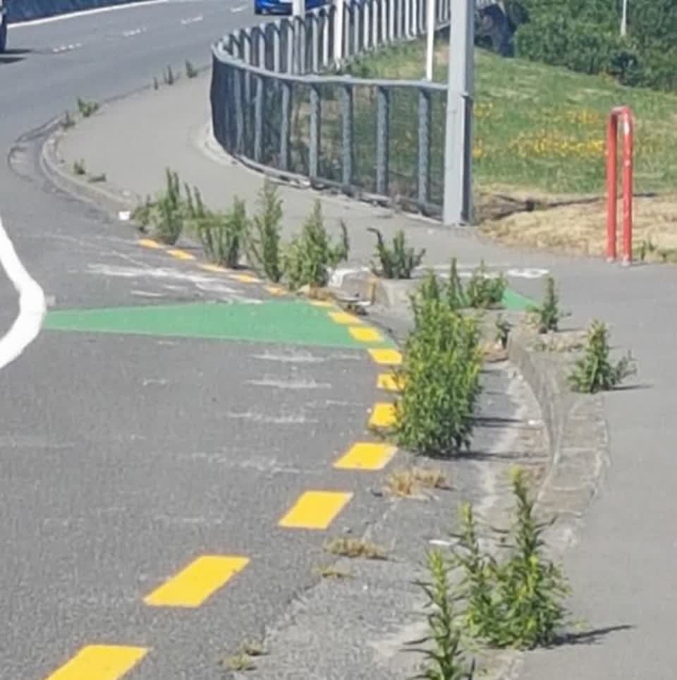 The photograph attached to this roading/streets report