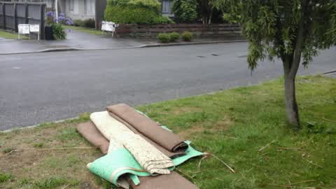 Rubbish/Recycling, a report photo