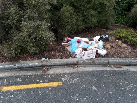 Rubbish/Recycling — a report photo