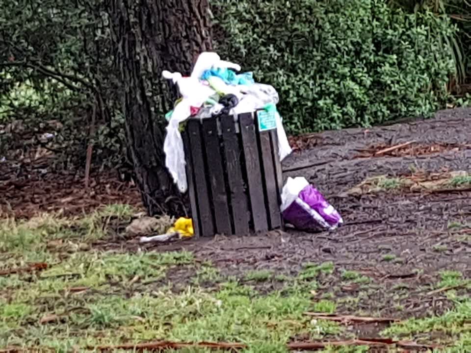 The photograph attached to this parks report