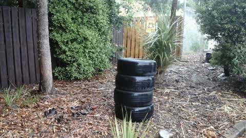 Rubbish/Recycling, a report photo