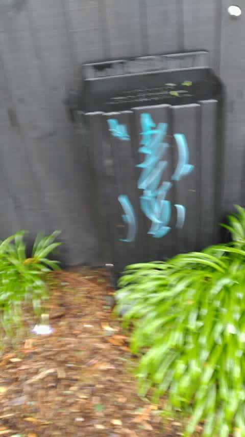 Graffiti, a report photo