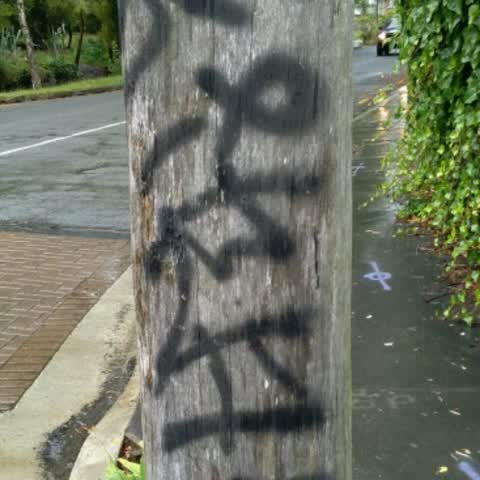 Graffiti, a report photo