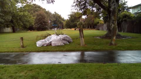 Rubbish/Recycling, a report photo