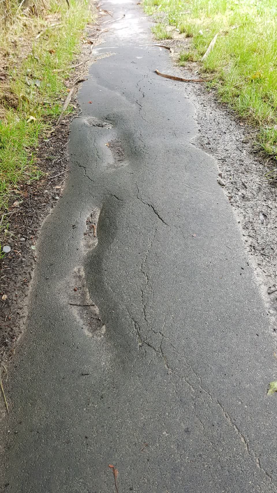 The photograph attached to this roading/streets report