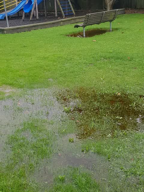 Parks, a report photo