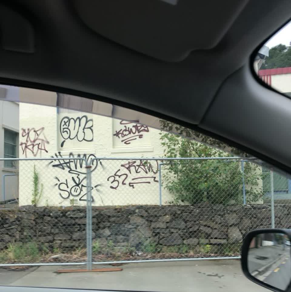 The photograph attached to this graffiti report