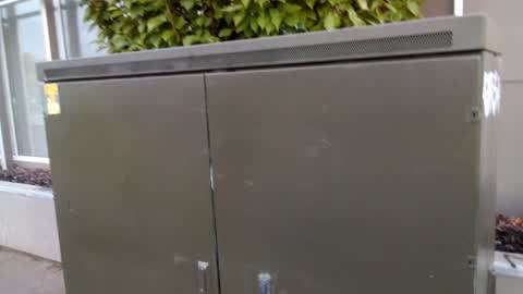 Graffiti — a report photo