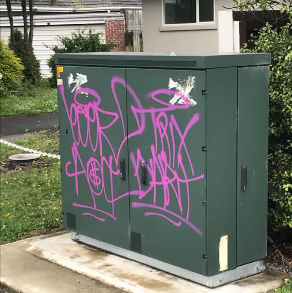 The photograph attached to this graffiti report