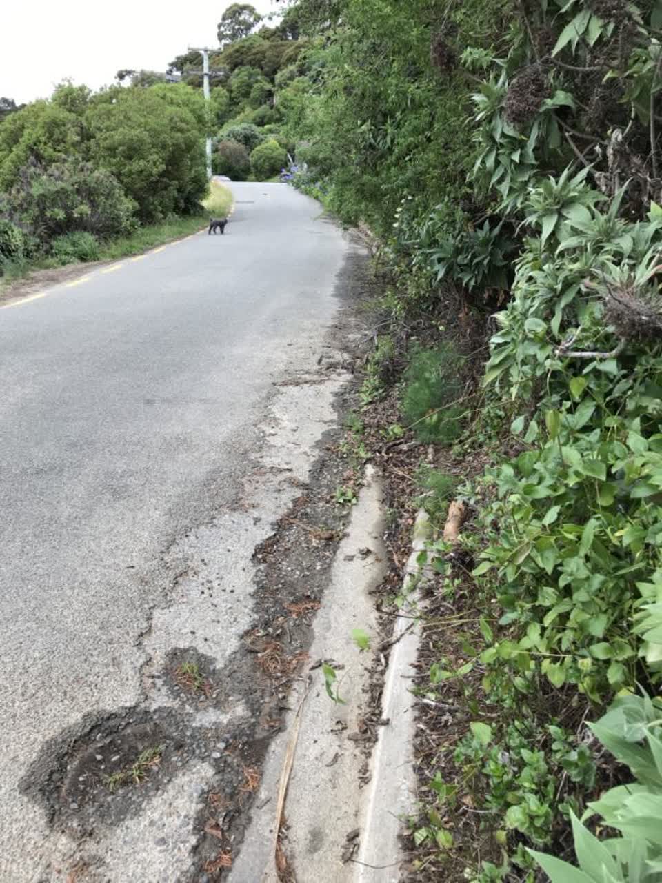 The photograph attached to this roading/streets report