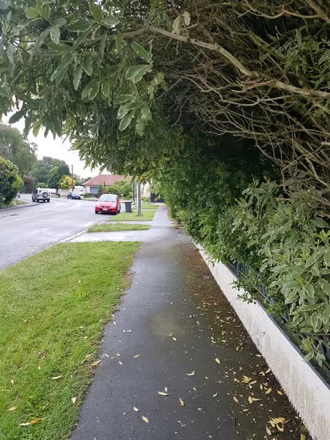 Roading/Streets, a report photo