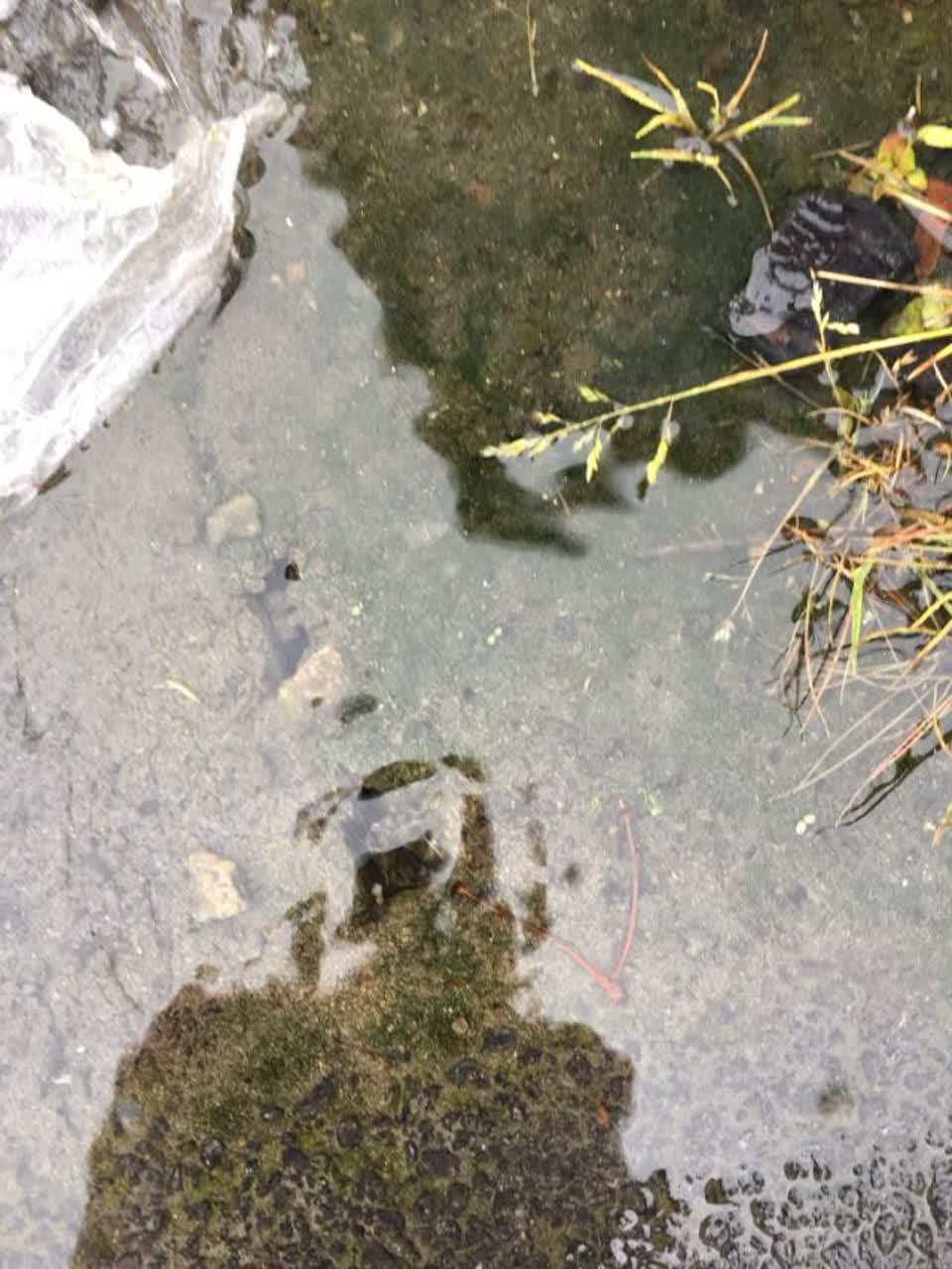 The photograph attached to this water supply report