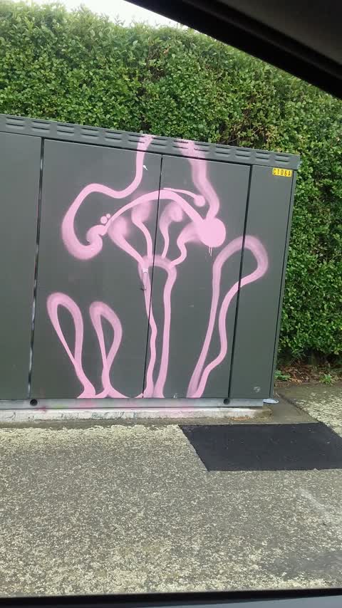 Graffiti, a report photo