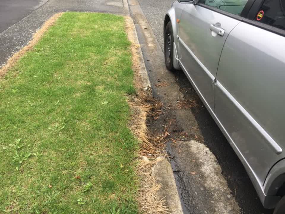 The photograph attached to this roading/streets report