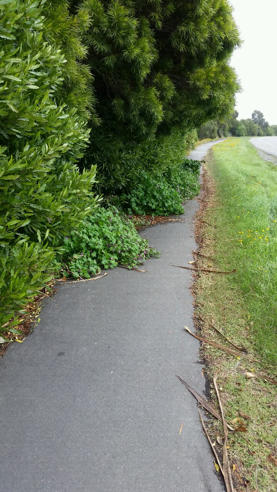 The photograph attached to this roading/streets report