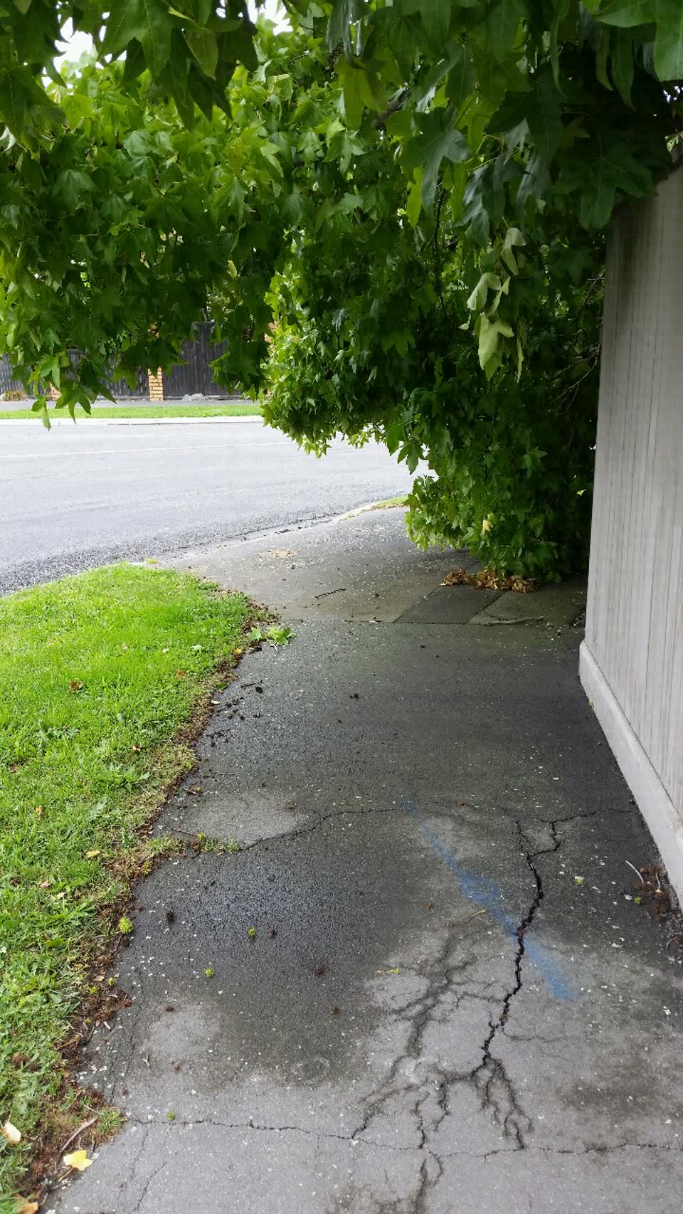 The photograph attached to this roading/streets report
