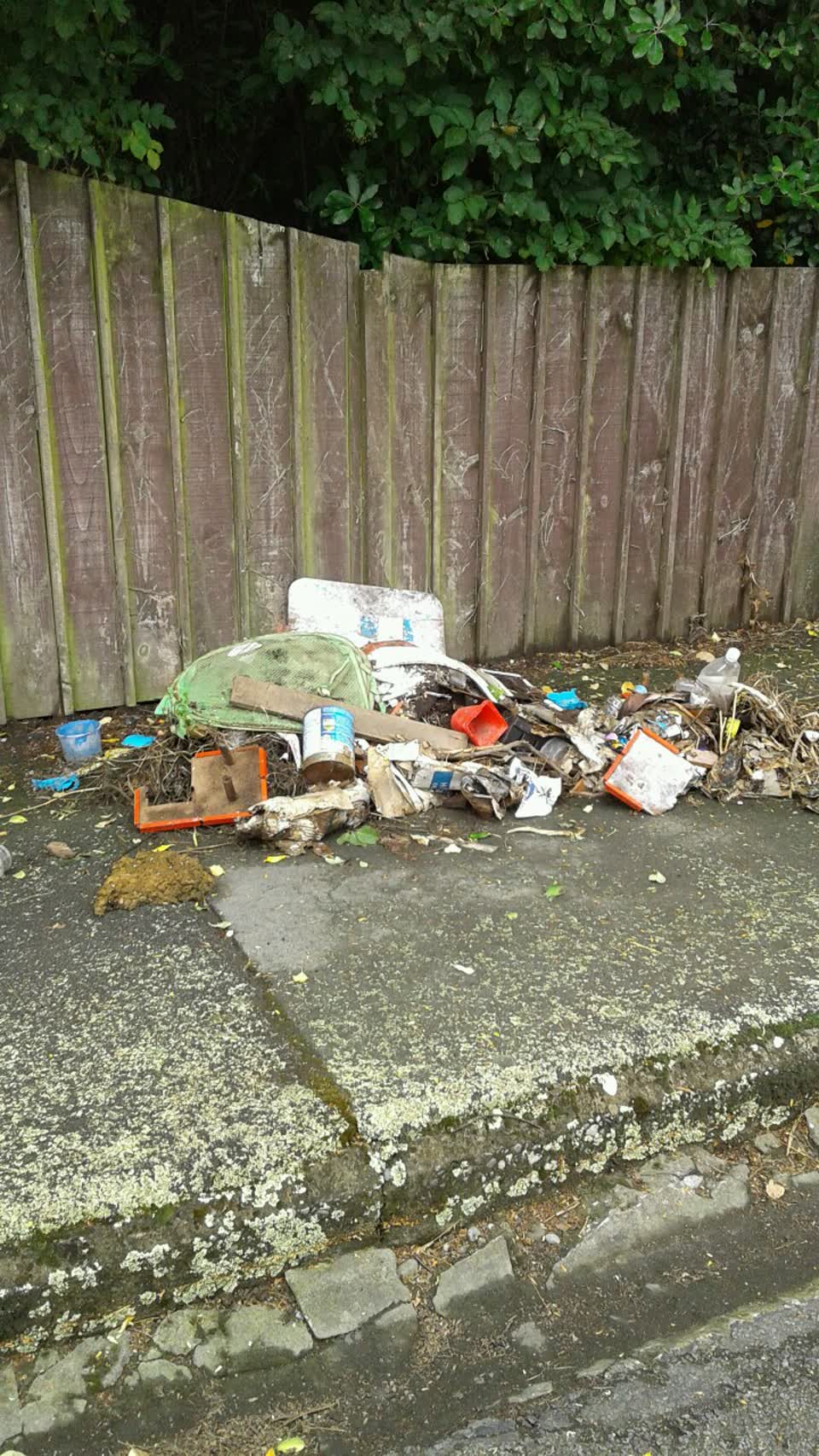 The photograph attached to this rubbish/recycling report
