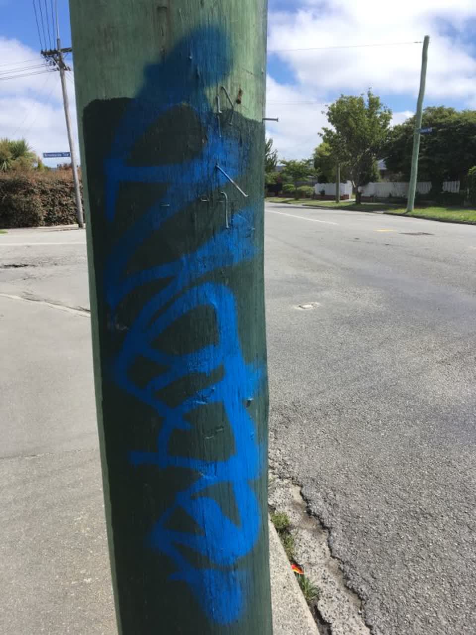 The photograph attached to this graffiti report
