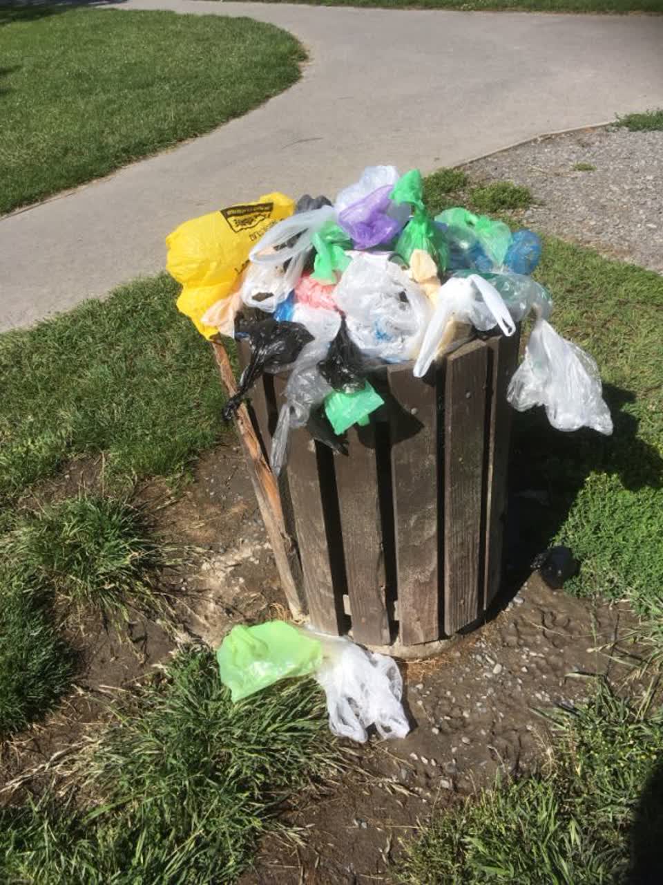 The photograph attached to this rubbish/recycling report