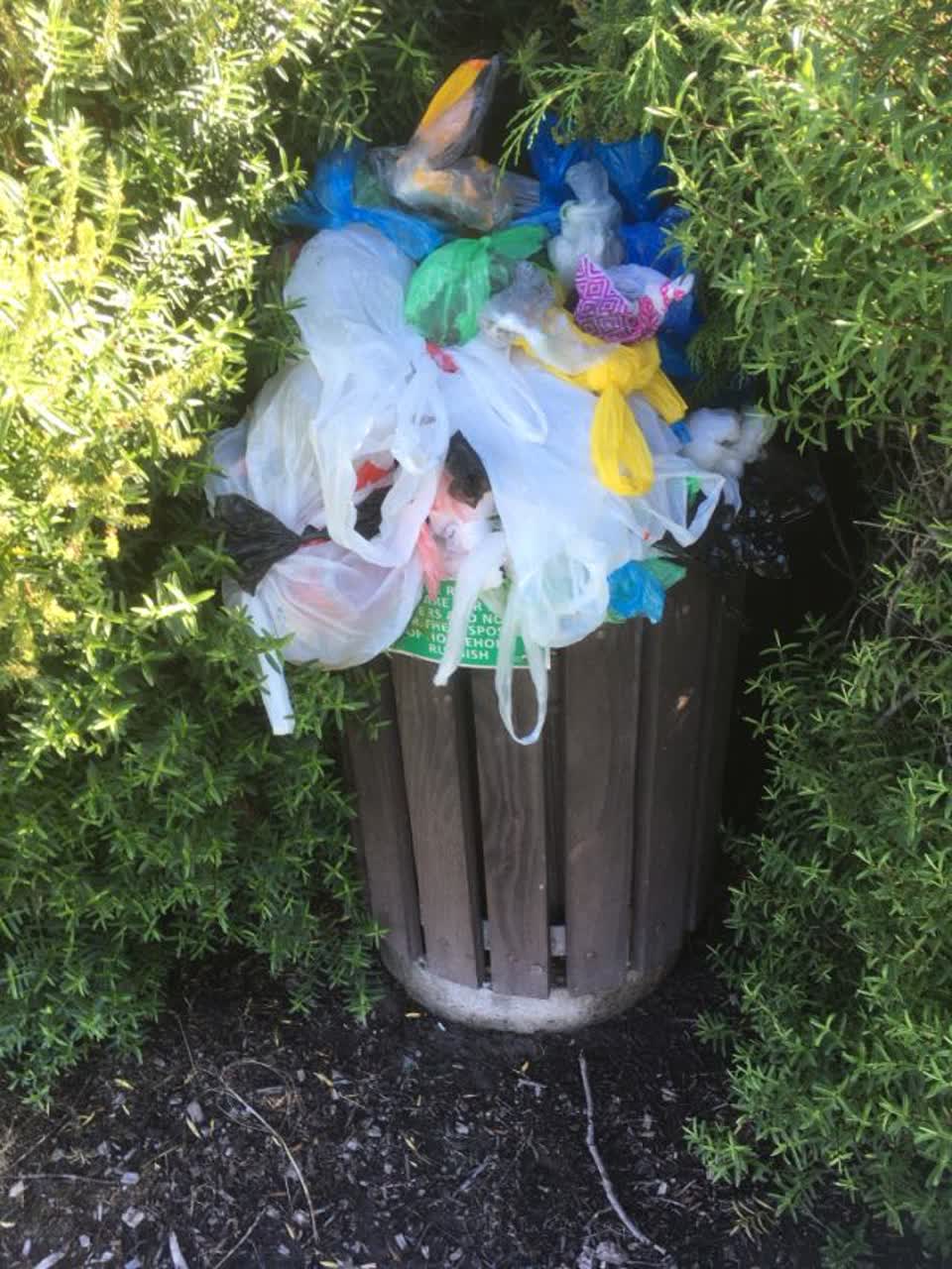 The photograph attached to this rubbish/recycling report