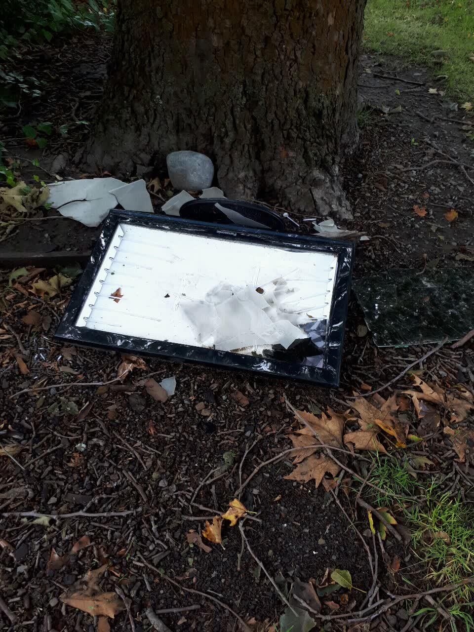 The photograph attached to this rubbish/recycling report
