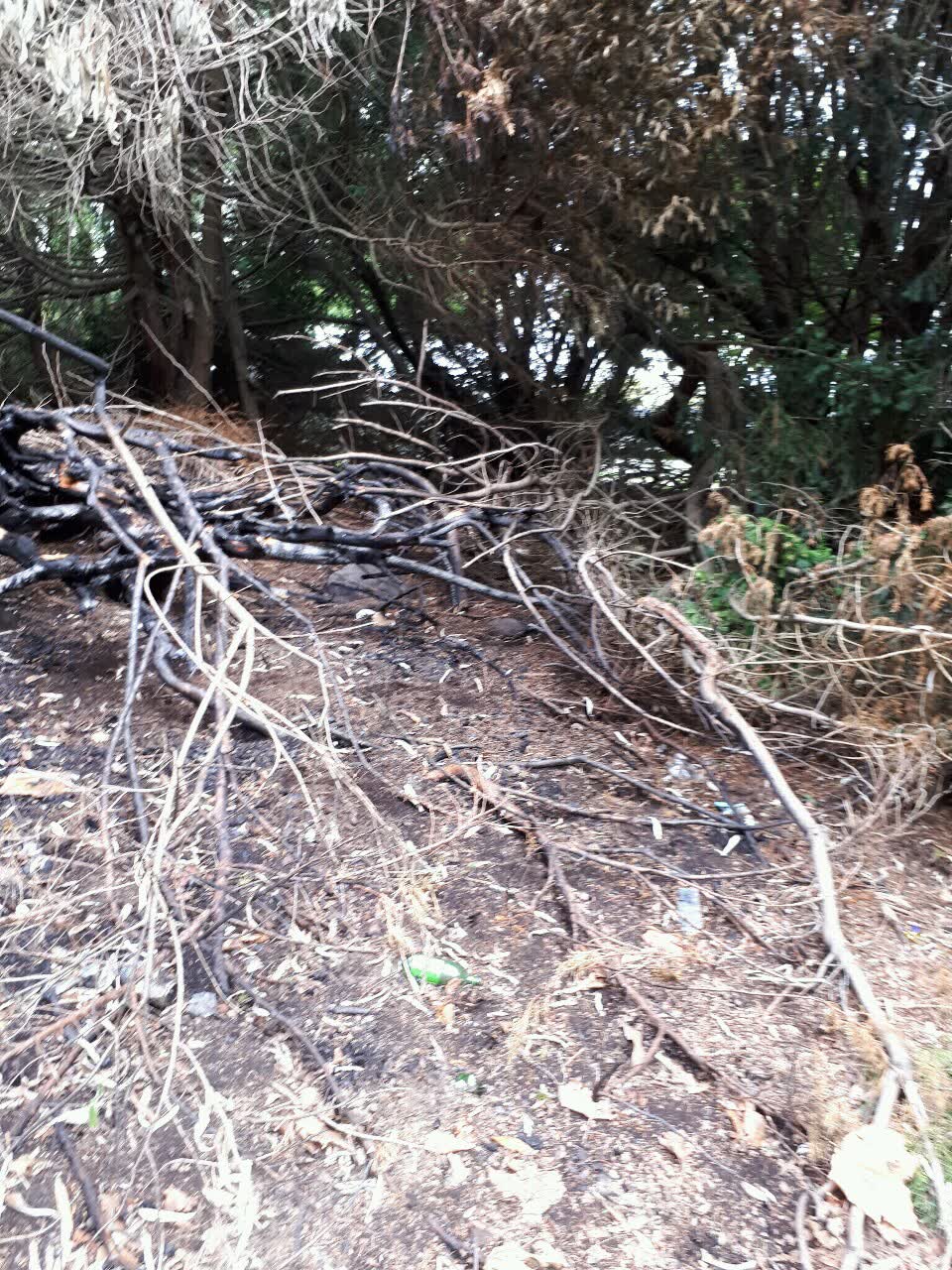 The photograph attached to this parks report