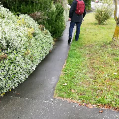 Roading/Streets, a report photo
