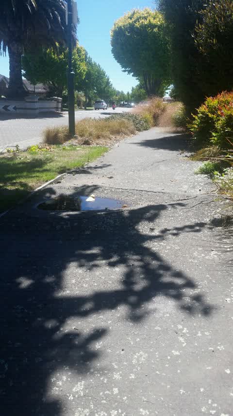 Roading/Streets, a report photo