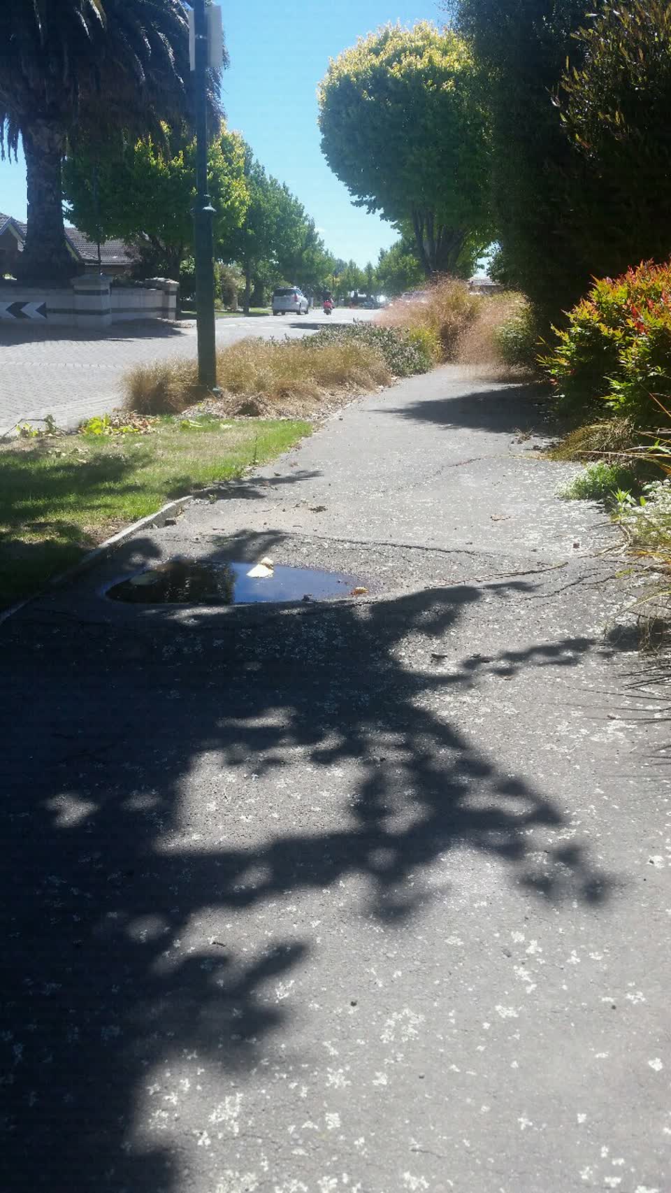 The photograph attached to this roading/streets report