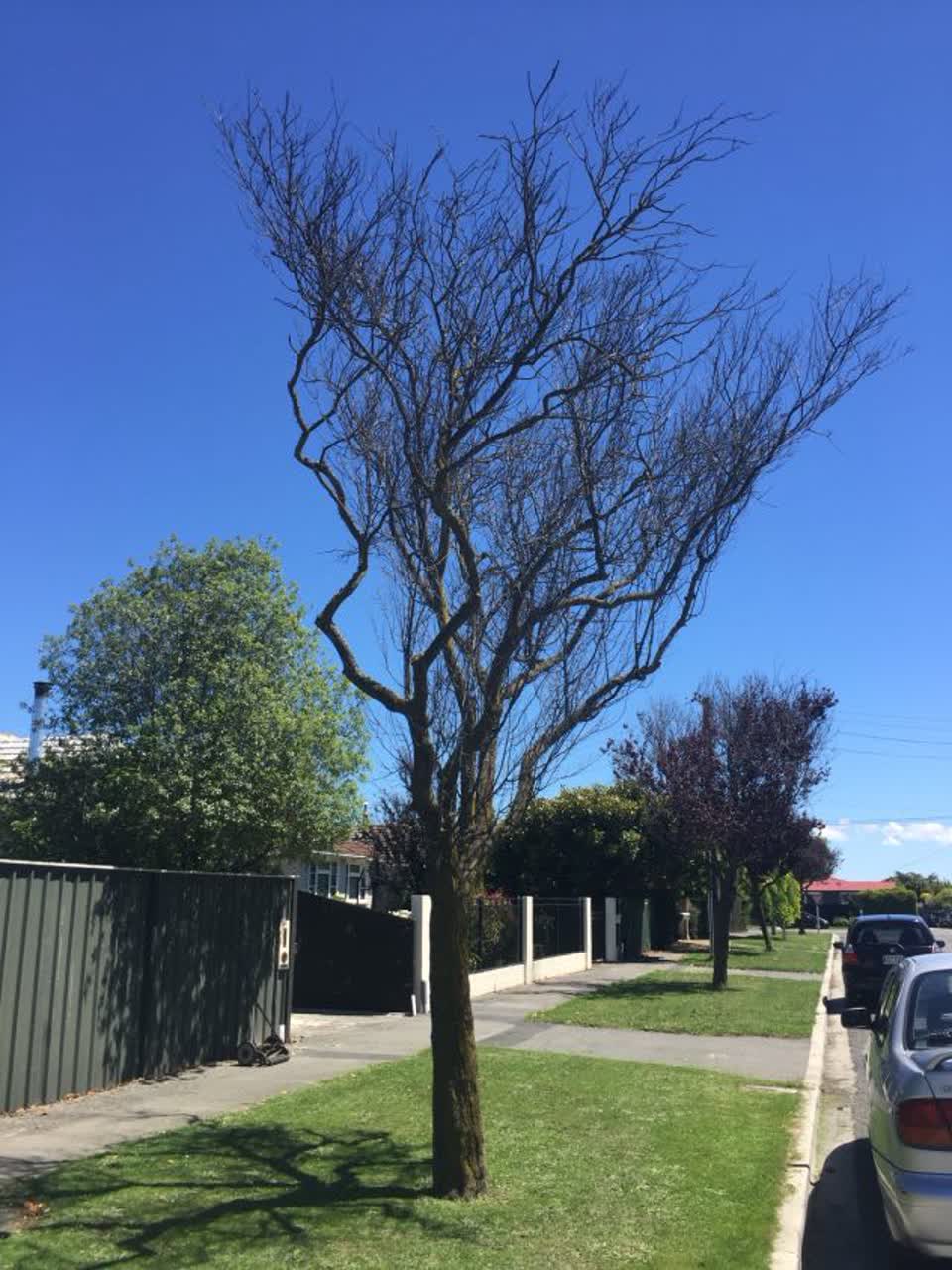 The photograph attached to this roading/streets report
