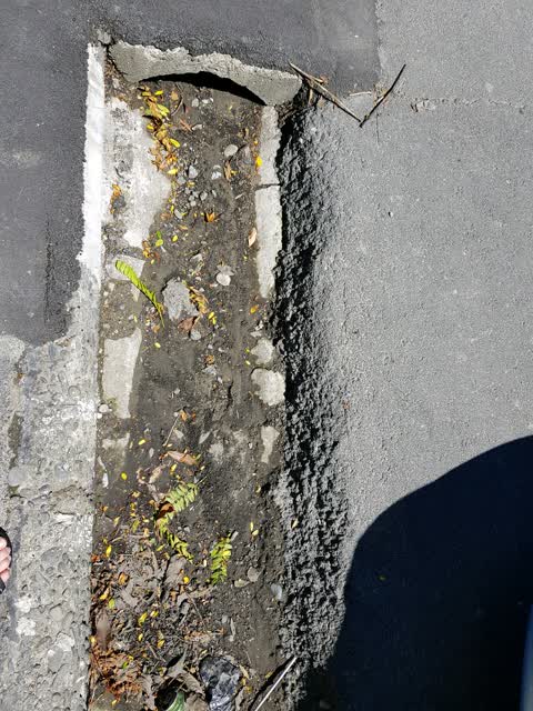 Roading/Streets, a report photo