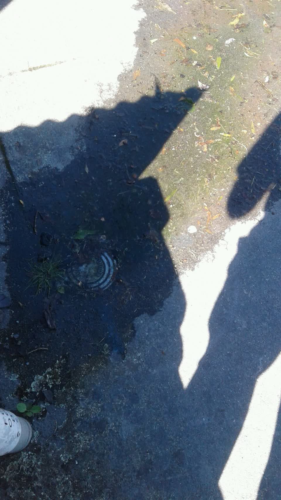 The photograph attached to this water supply report